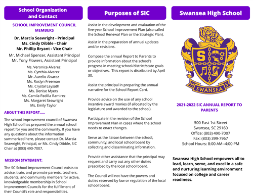 SIC Report Page 1